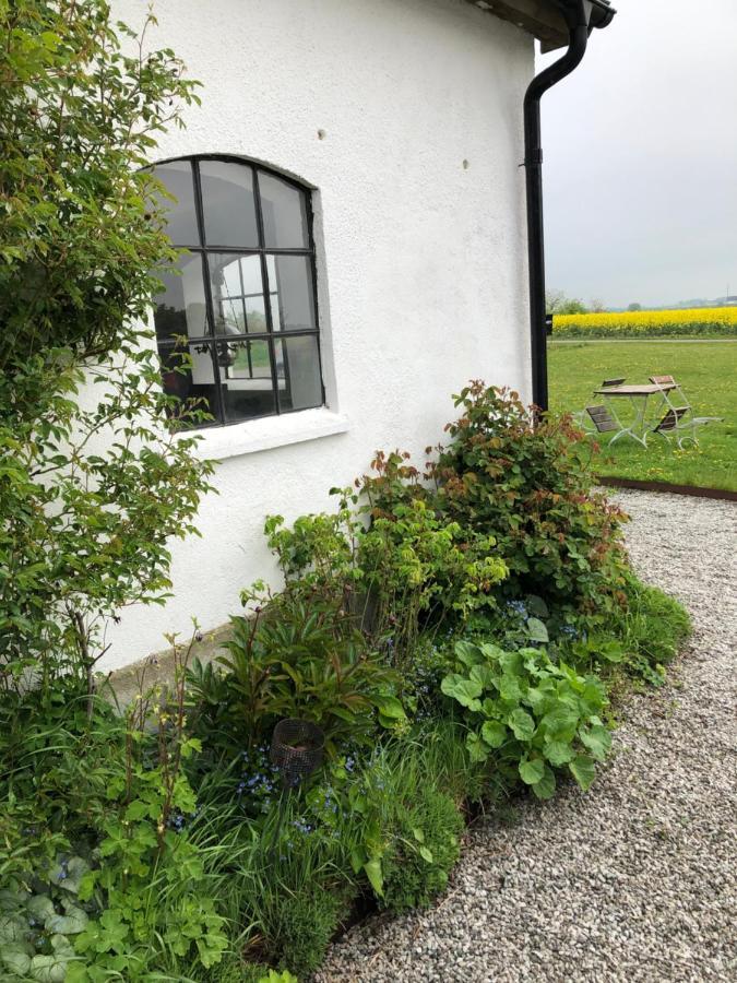 Raevakra B&B Hammenhög Esterno foto