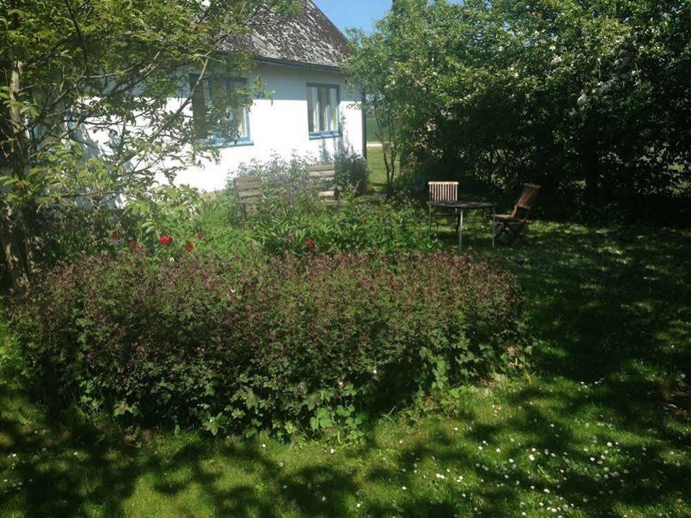 Raevakra B&B Hammenhög Esterno foto
